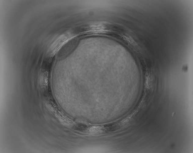 X0000115621161200912011608