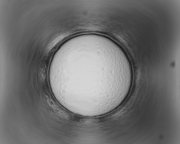 X0000115621163200912011608