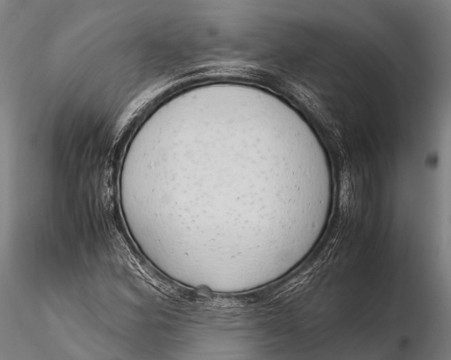 X0000115621164200912011608