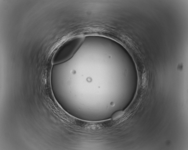 X0000115621165200912011608