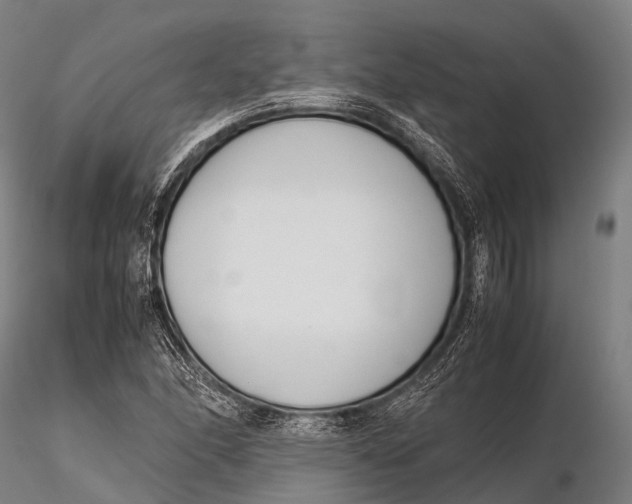 X0000115621166200912011608