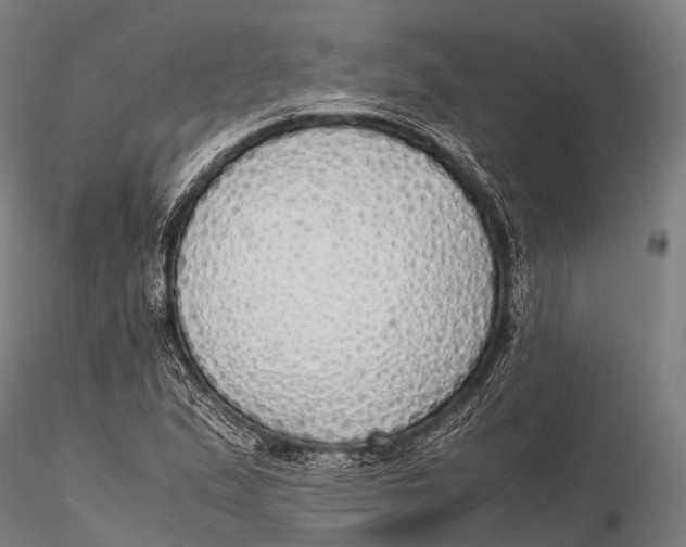 X0000115621167200912011608