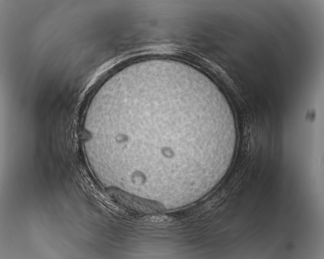 X0000115621168200912011608