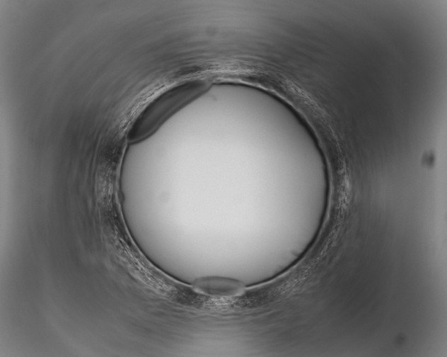 X0000115621169200912011608