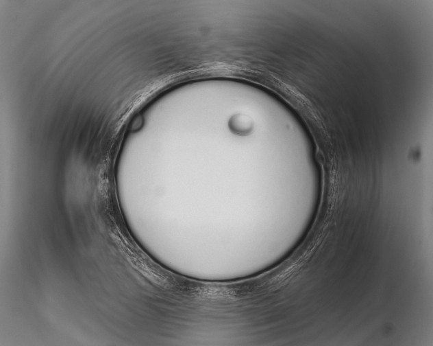 X0000115621170200912011607