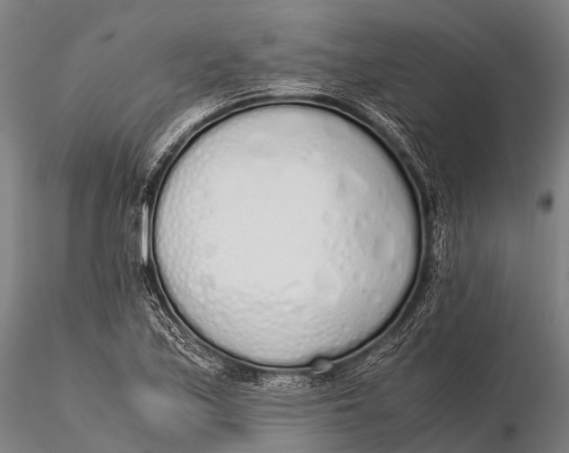 X0000115621171200912011607