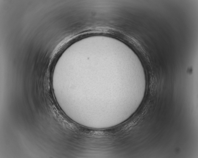 X0000115621172200912011607