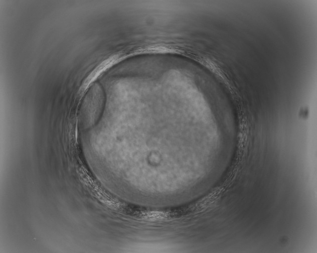 X0000115621173200912011607