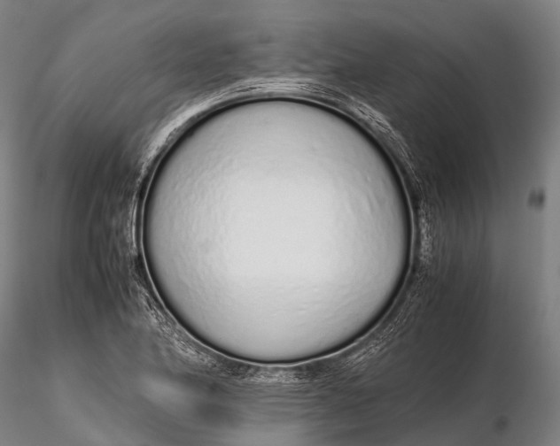 X0000115621174200912011607