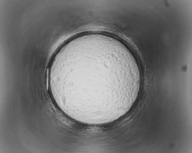 X0000115621175200912011607