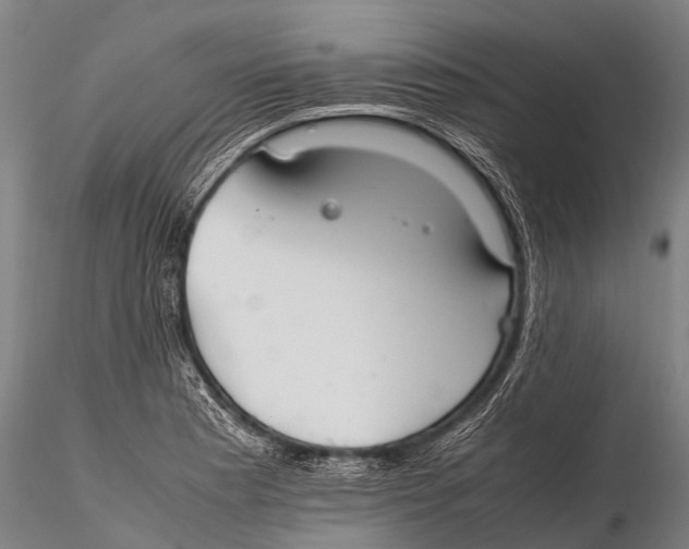 X0000115621177200912011607