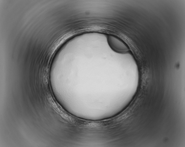 X0000115621178200912011607