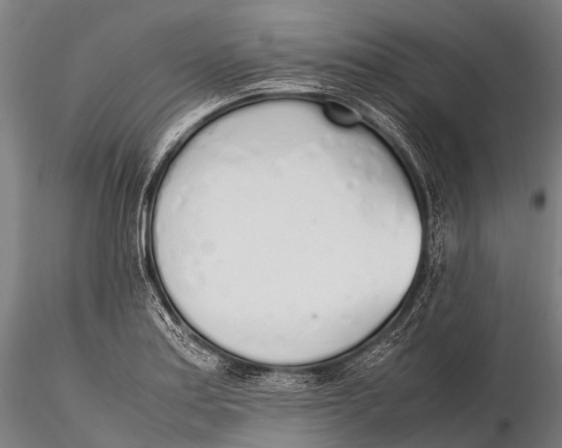 X0000115621179200912011607