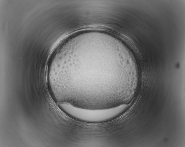 X0000115621180200912011607