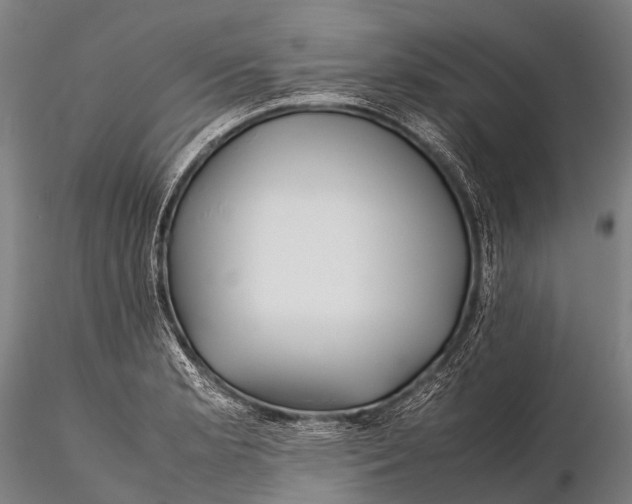 X0000115621181200912011607