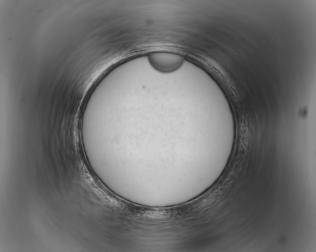 X0000115621182200912011607