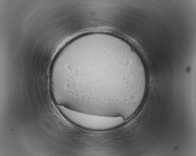 X0000115621184200912011607