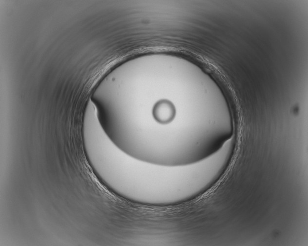 X0000115621185200912011607