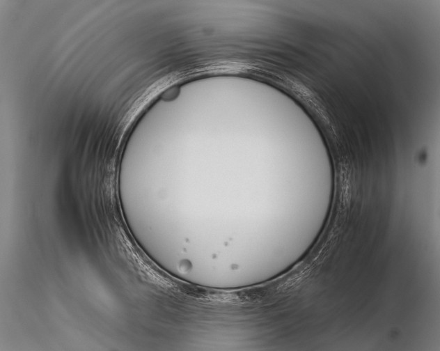 X0000115621186200912011607