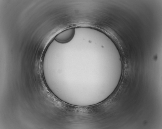 X0000115621190200912011607