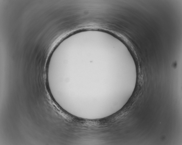 X0000115621191200912011607