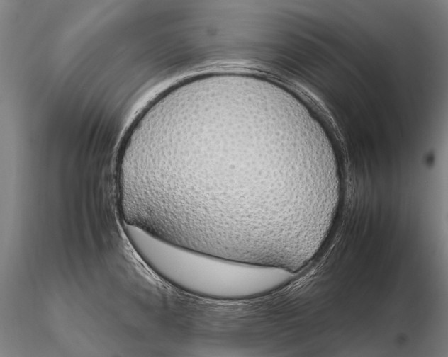 X0000115621192200912011607