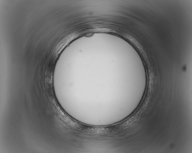 X0000115621193200912011607