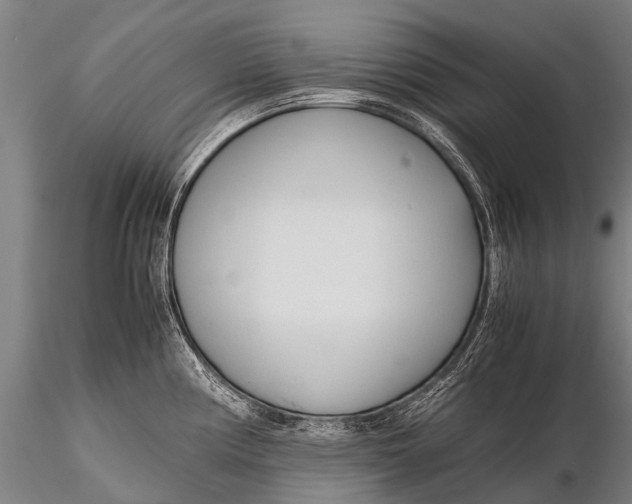 X0000115621194200912011607