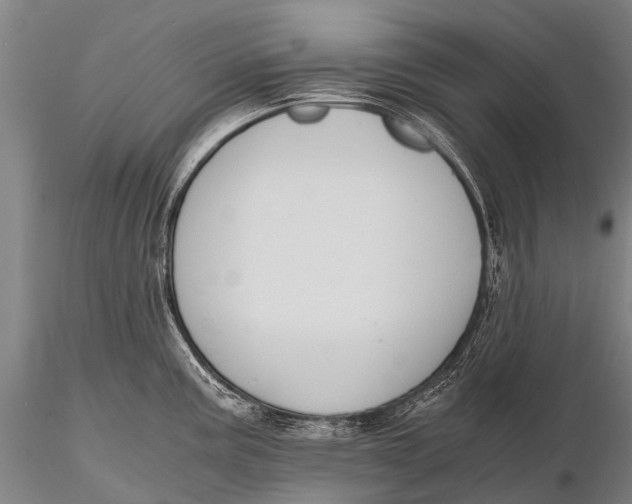 X0000115621195200912011607