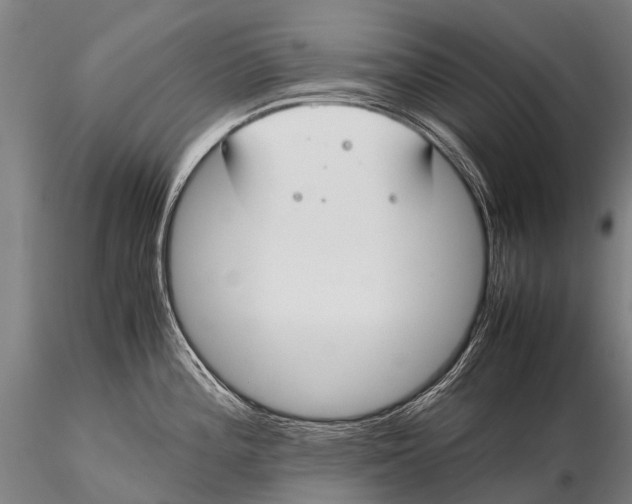 X0000115621196200912011607