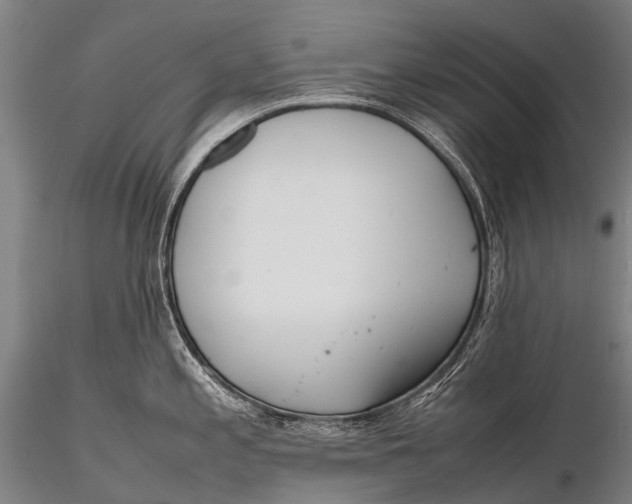 X0000115621197200912011607