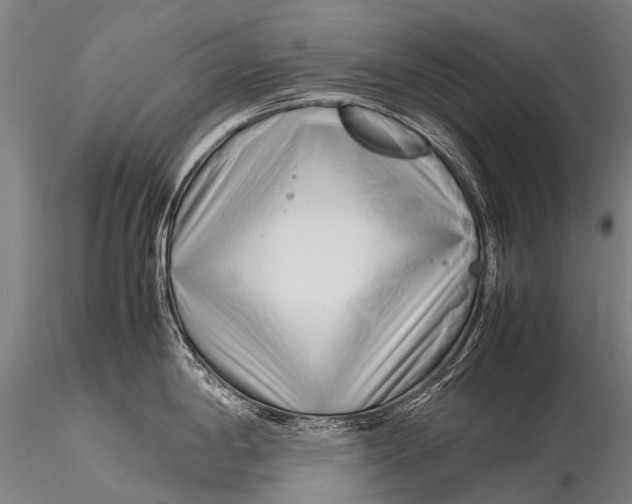 X0000115621198200912011607