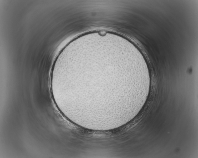 X0000115621199200912011607