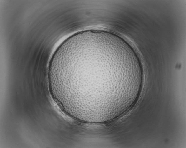 X0000115621200200912011607