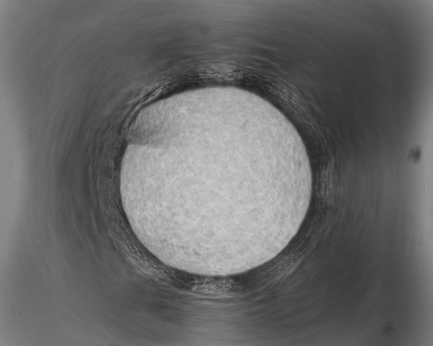 X0000115621201200912011606