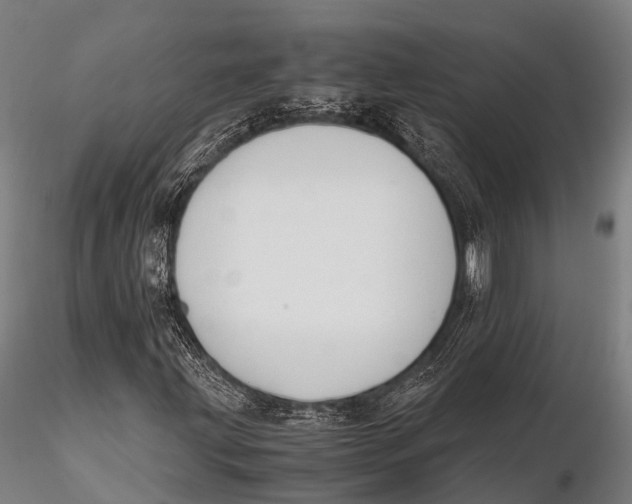 X0000115621203200912011606