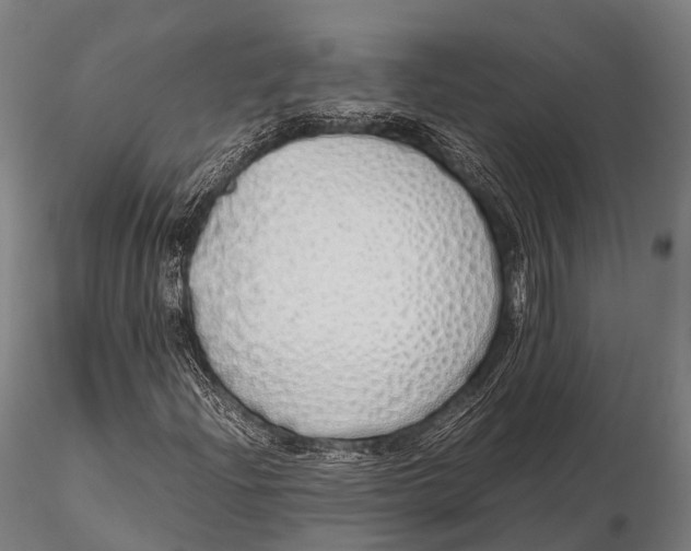 X0000115621204200912011606