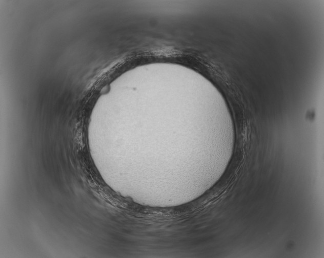 X0000115621205200912011606