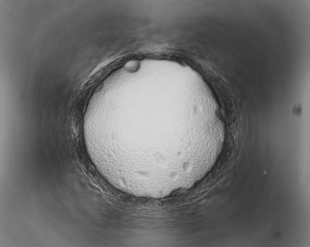 X0000115621206200912011606