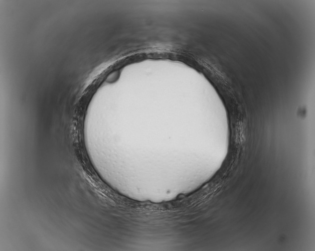 X0000115621208200912011607