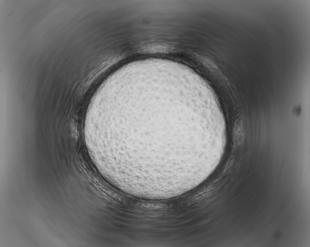 X0000115621209200912011607