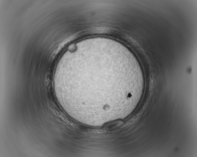 X0000115621210200912011607