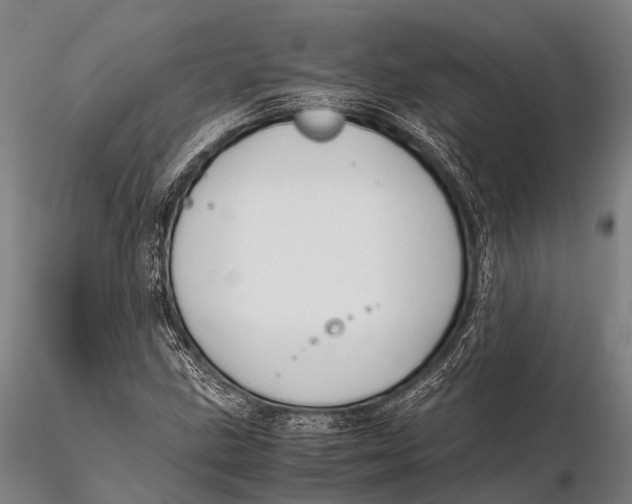 X0000115621211200912011607