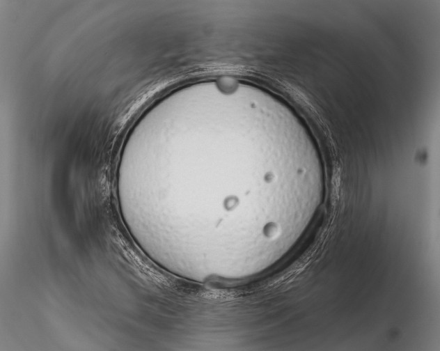 X0000115621212200912011607