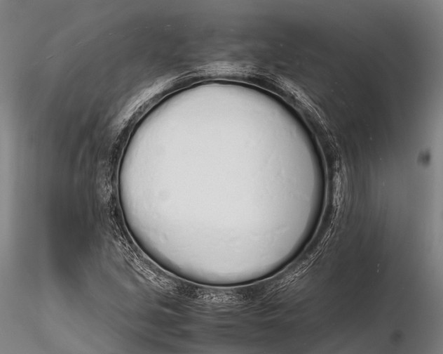 X0000115621213200912011607