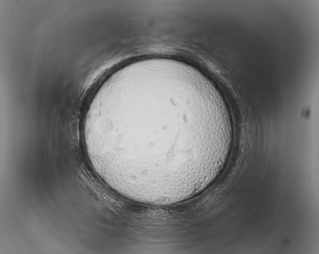 X0000115621214200912011607