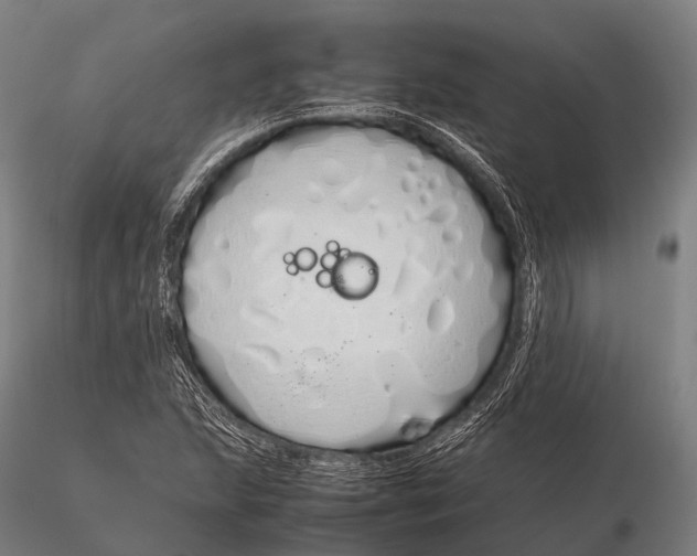 X0000115621215200912011607