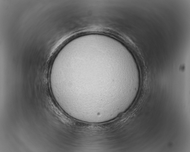 X0000115621216200912011607