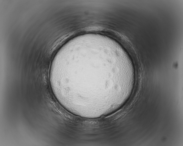 X0000115621217200912011607