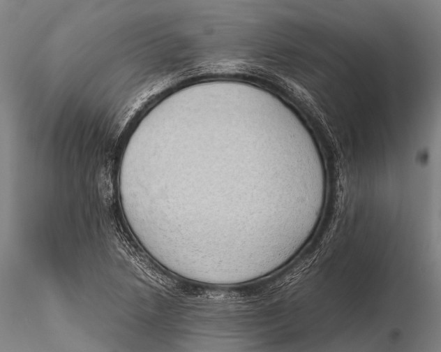 X0000115621218200912011607